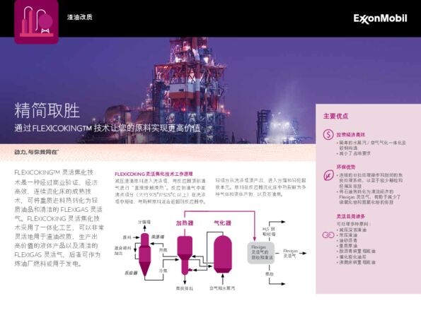 通过 FLEXICOKING™ 技术让您的原料实现更高价值
