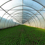 Outstanding greenhouse film solution with great softness and toughness balance