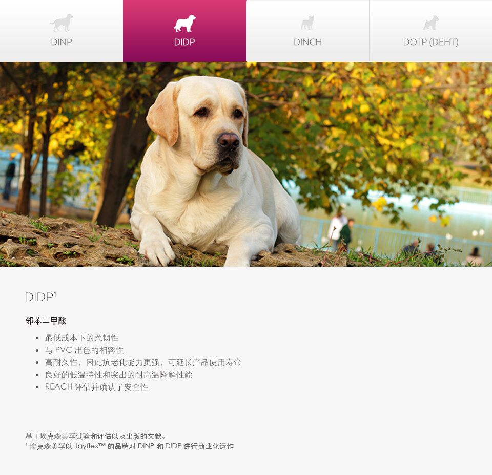 了解增塑剂的搭档 - 狗的照片和图 - 中文