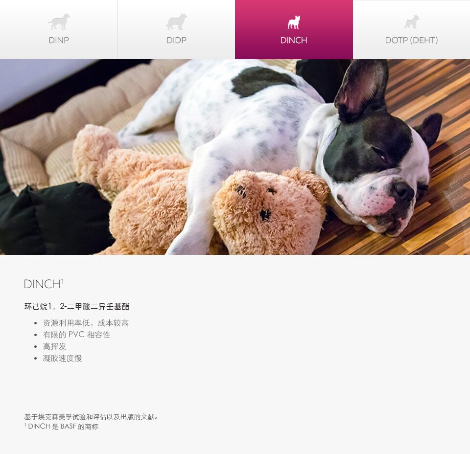 了解增塑剂的搭档 - 狗的照片和图 - 中文