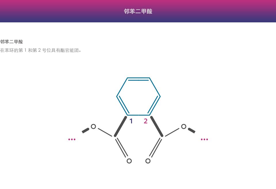 邻苯二甲酸酯对苯二甲酸酯图 - 中文