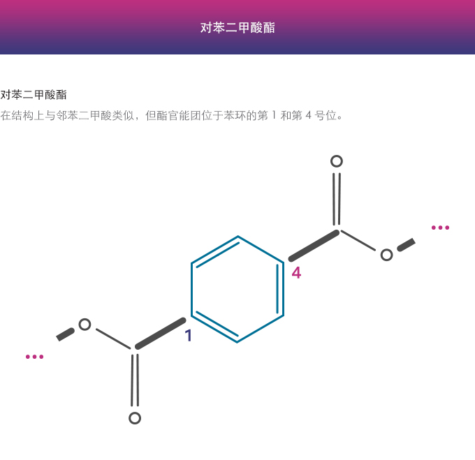 邻苯二甲酸酯对苯二甲酸酯图 - 中文