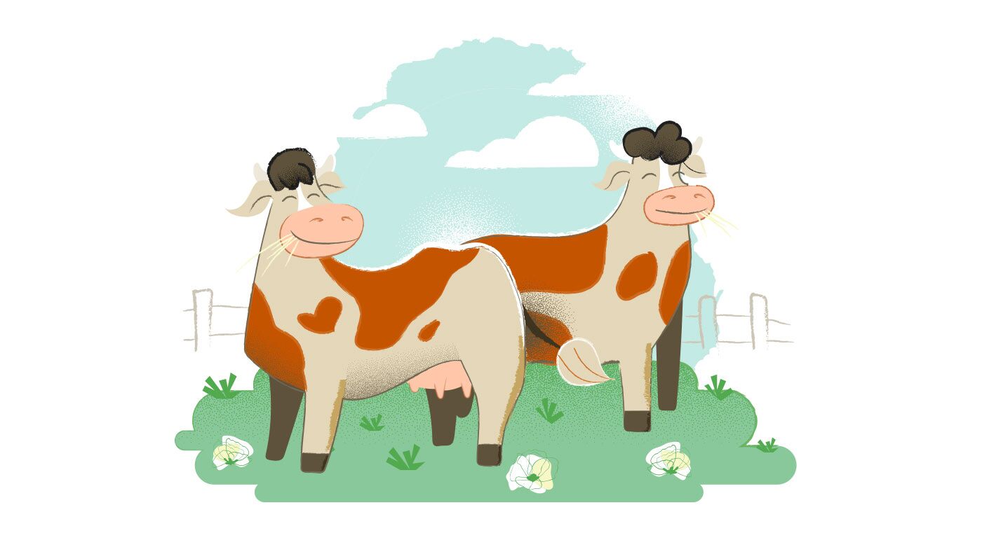 母牛由于使用佳发增塑剂制造的合成皮革、塑料皮革、人造革或人造皮而十分开心