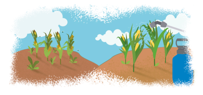 Increasing Crop Production to Feed a Growing Population webpage visuals